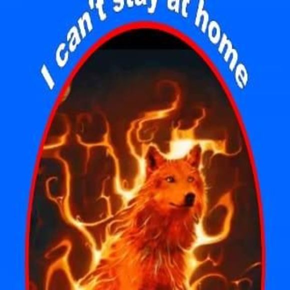 Meet your Posher, Tabitha - Picture 1 of 1